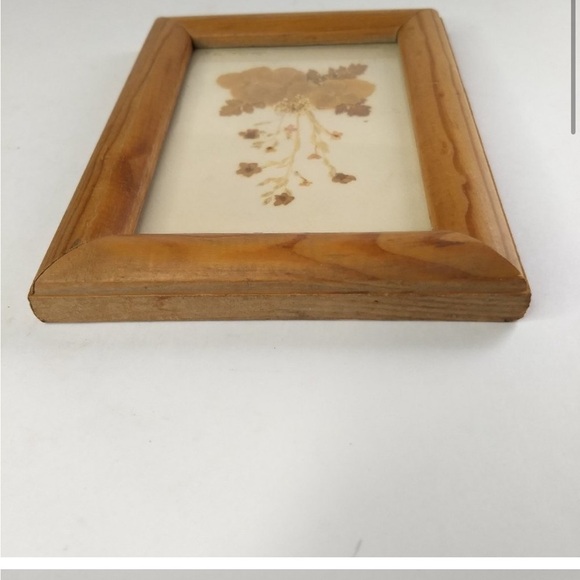 Pressed Flower Framed Wall Art 1998 Artist
Signed Floral Decor - Picture 7 of 12